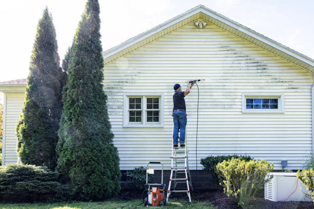 Best Roof Pressure Washing  in Peru, IL